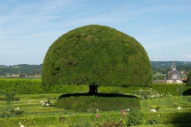 最后贴文「希望乐团能永远存在」，the GazettE 贝斯手 REITA 发文数小时后骤逝